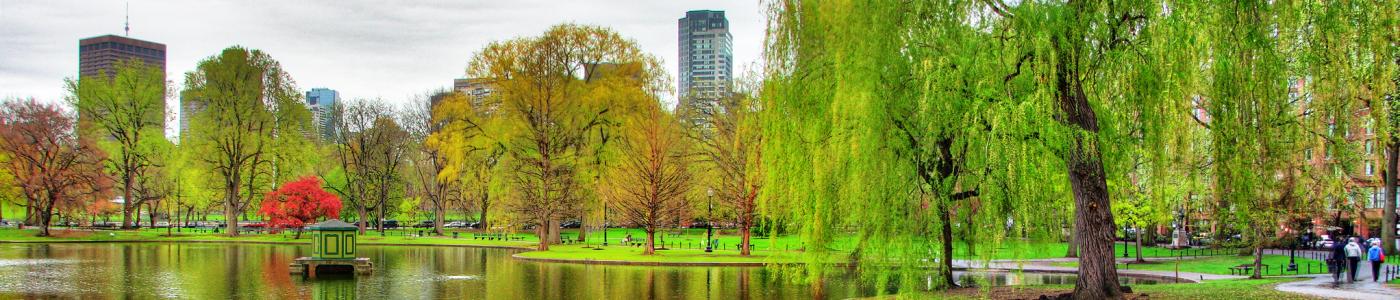 Photo: Boston Public Garden