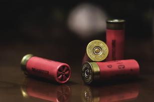 Photo: Bullets